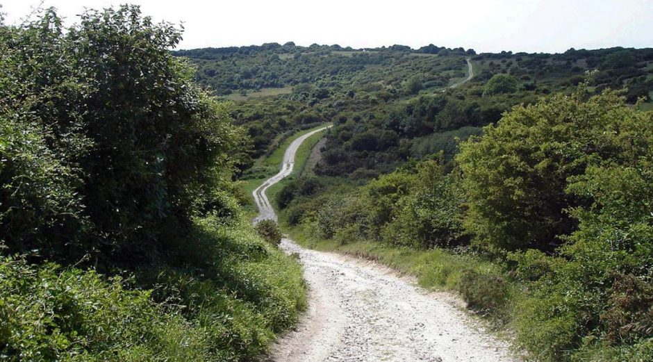 heathland-history-of-a-word-south-downs-national-park-authority