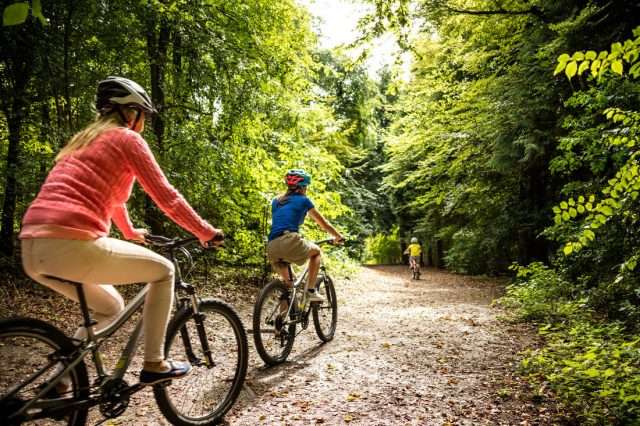 south downs mountain bike trails