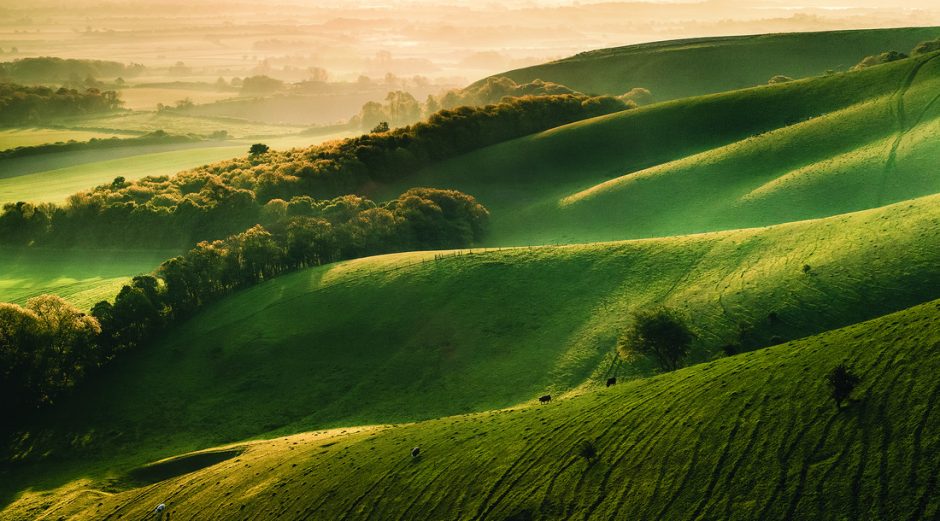 Photographing the South Downs - South Downs National Park Authority