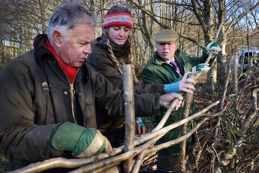 National Park Minister says thank you to South Downs volunteers - South ...