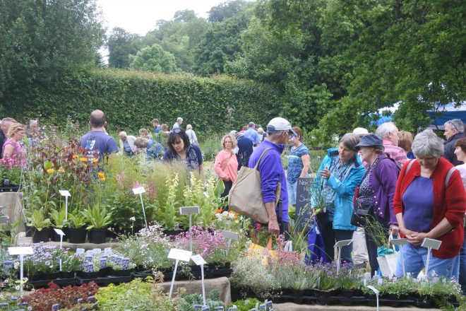 Unusual Plants Fair - South Downs National Park Authority