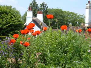 Creating A Cottage Garden South Downs National Park Authority