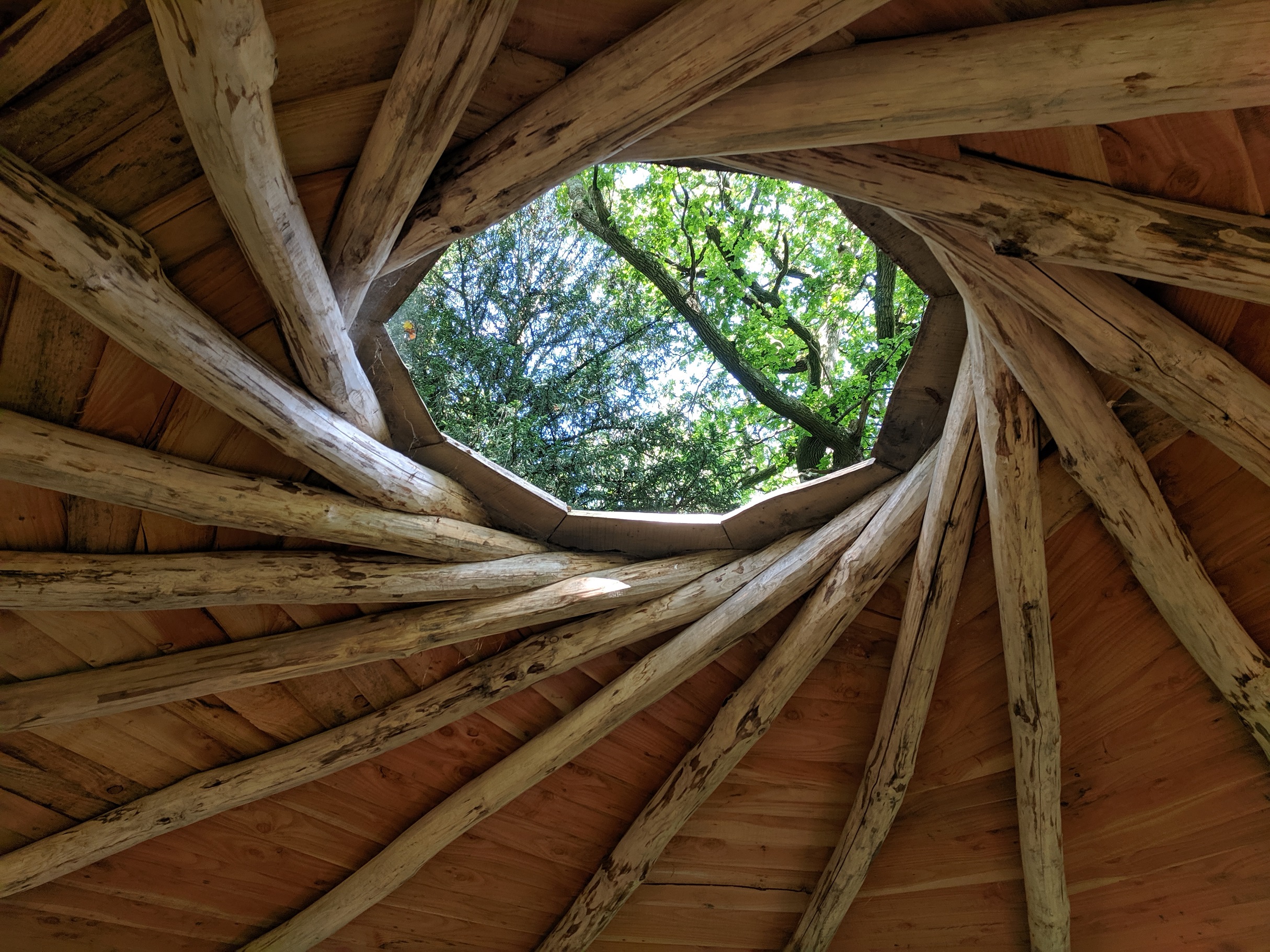 Outdoor learning classroom at Botany Bay Conservation Project - South ...