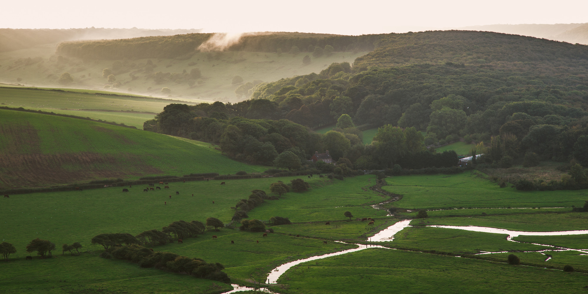 South downs. Саут-Даунс Англия. Национального парка Саут-Даунс. Возвышенности Норт Даунс. South downs парк.