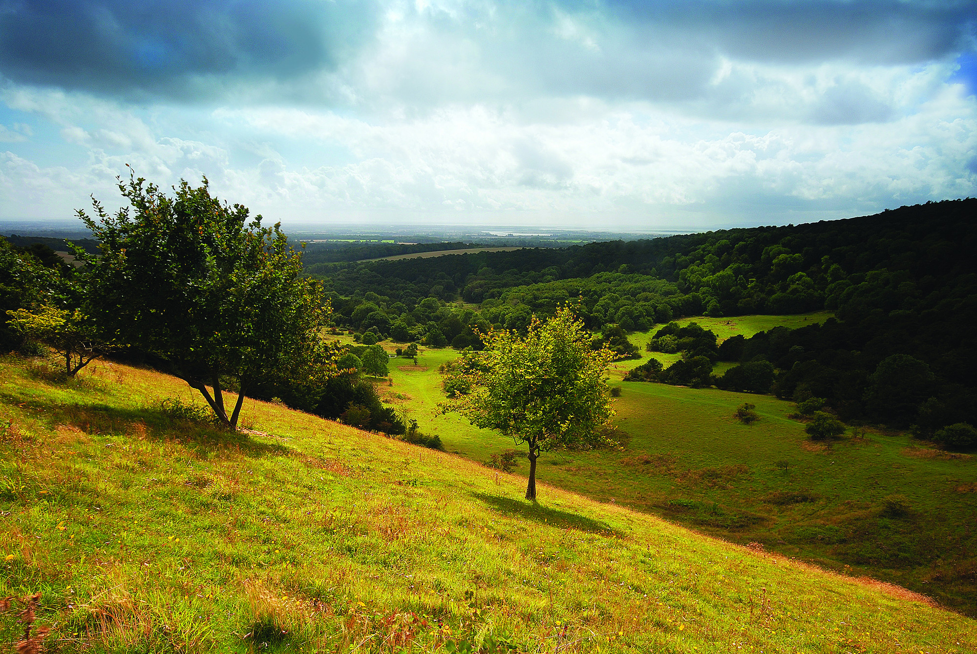 what-do-we-mean-by-natured-based-solutions-south-downs-national-park