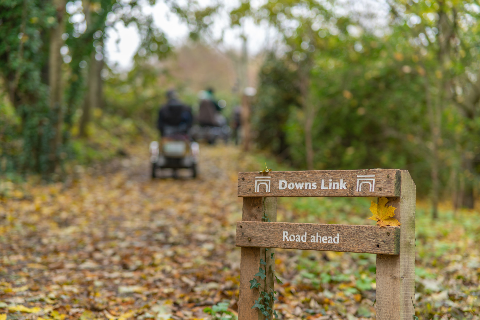 Access - South Downs National Park Authority