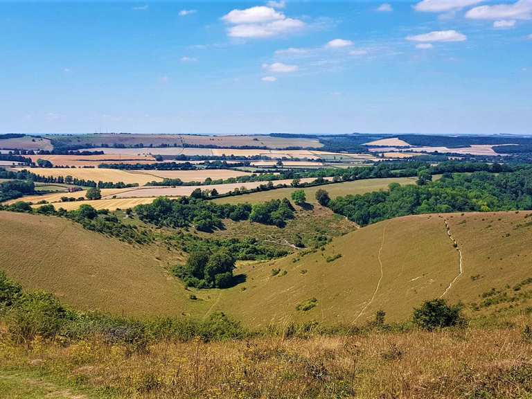 Grandfather Bottom Butser - South Downs National Park Authority