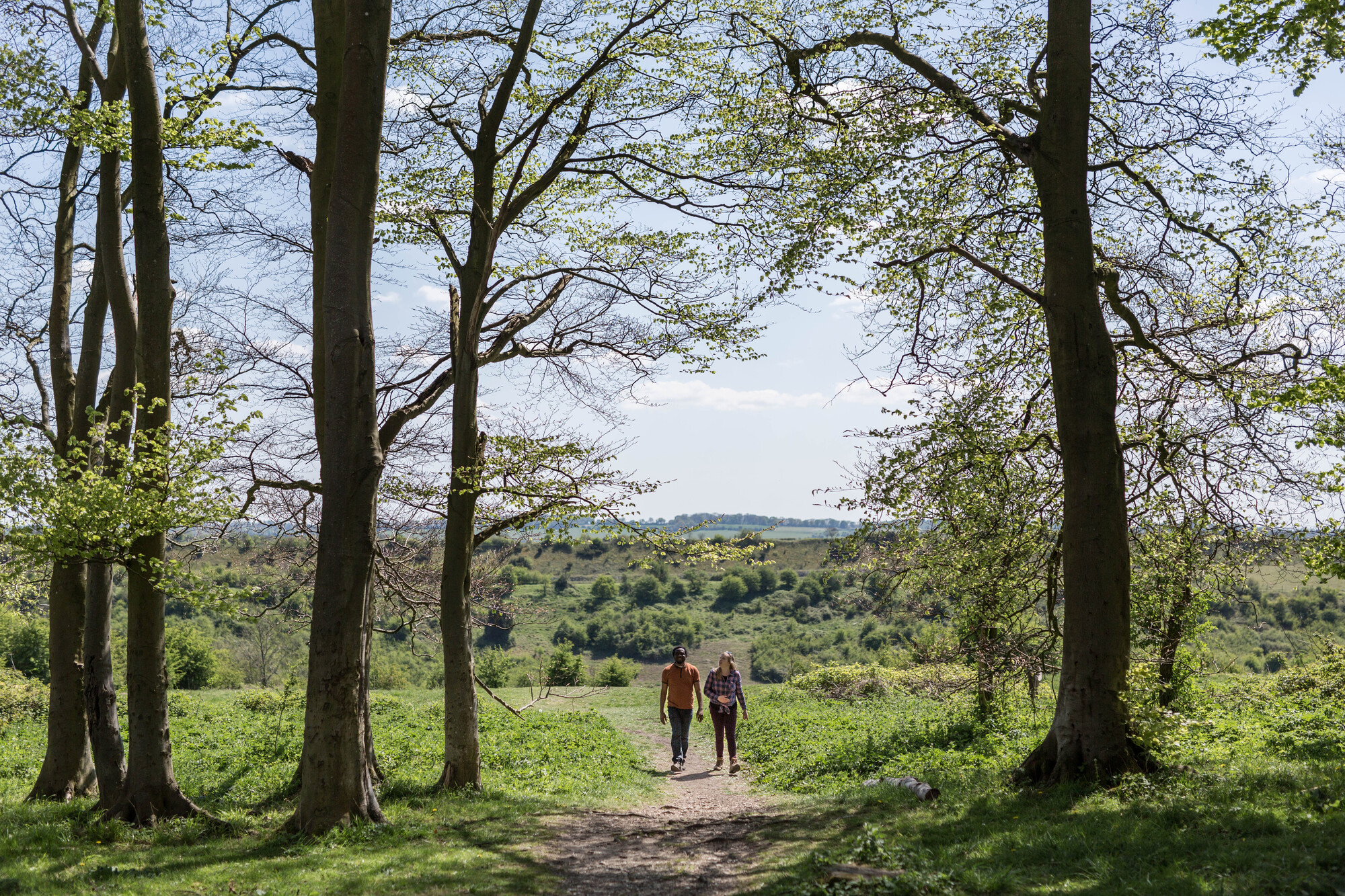 National Parks Need The Resources To Match Our Ambitions Says South   RS14768 PASsut 220426 SouthDowns 6943 Lpr 1 