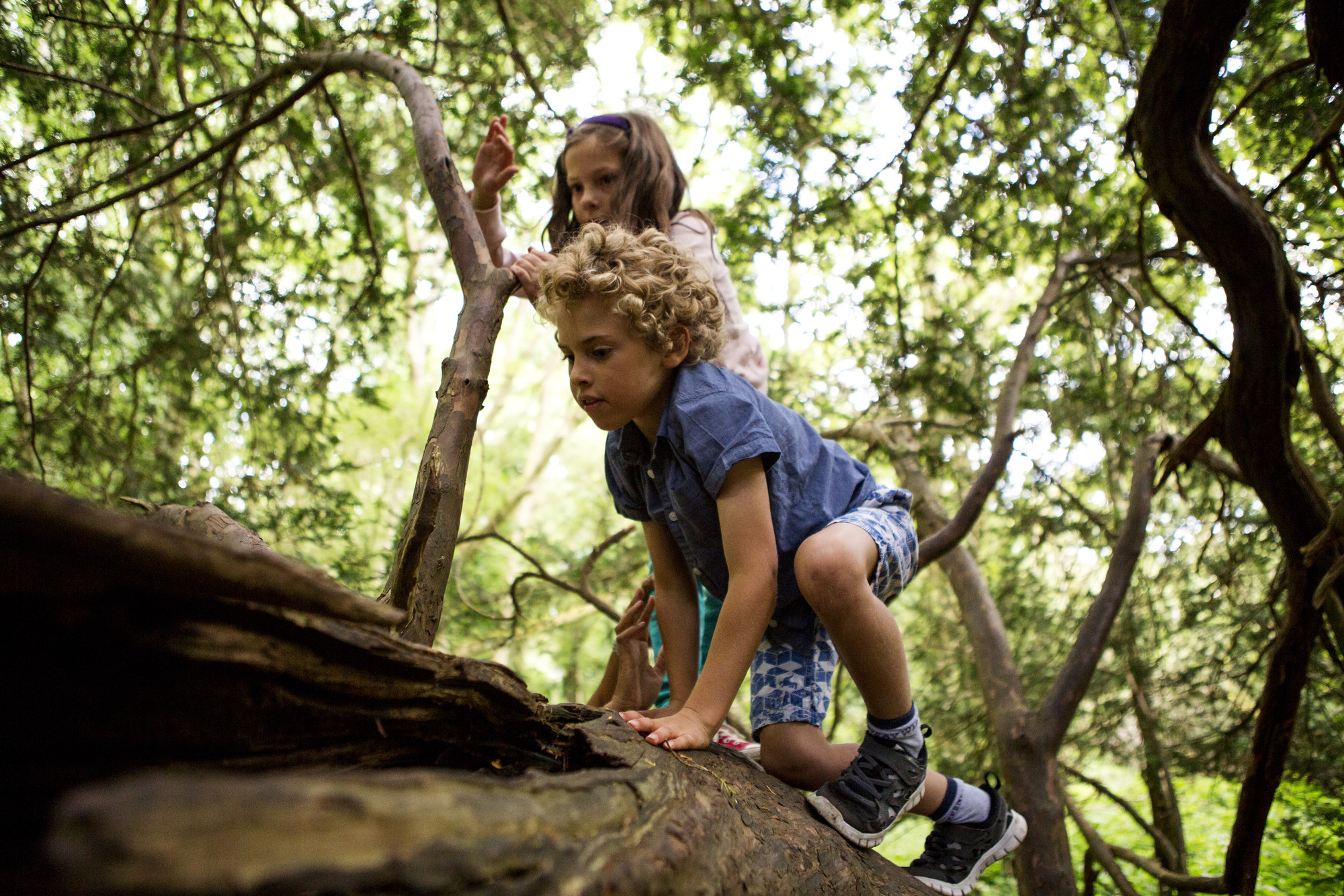 An outdoor adventure! New scheme gives children chance to explore South ...