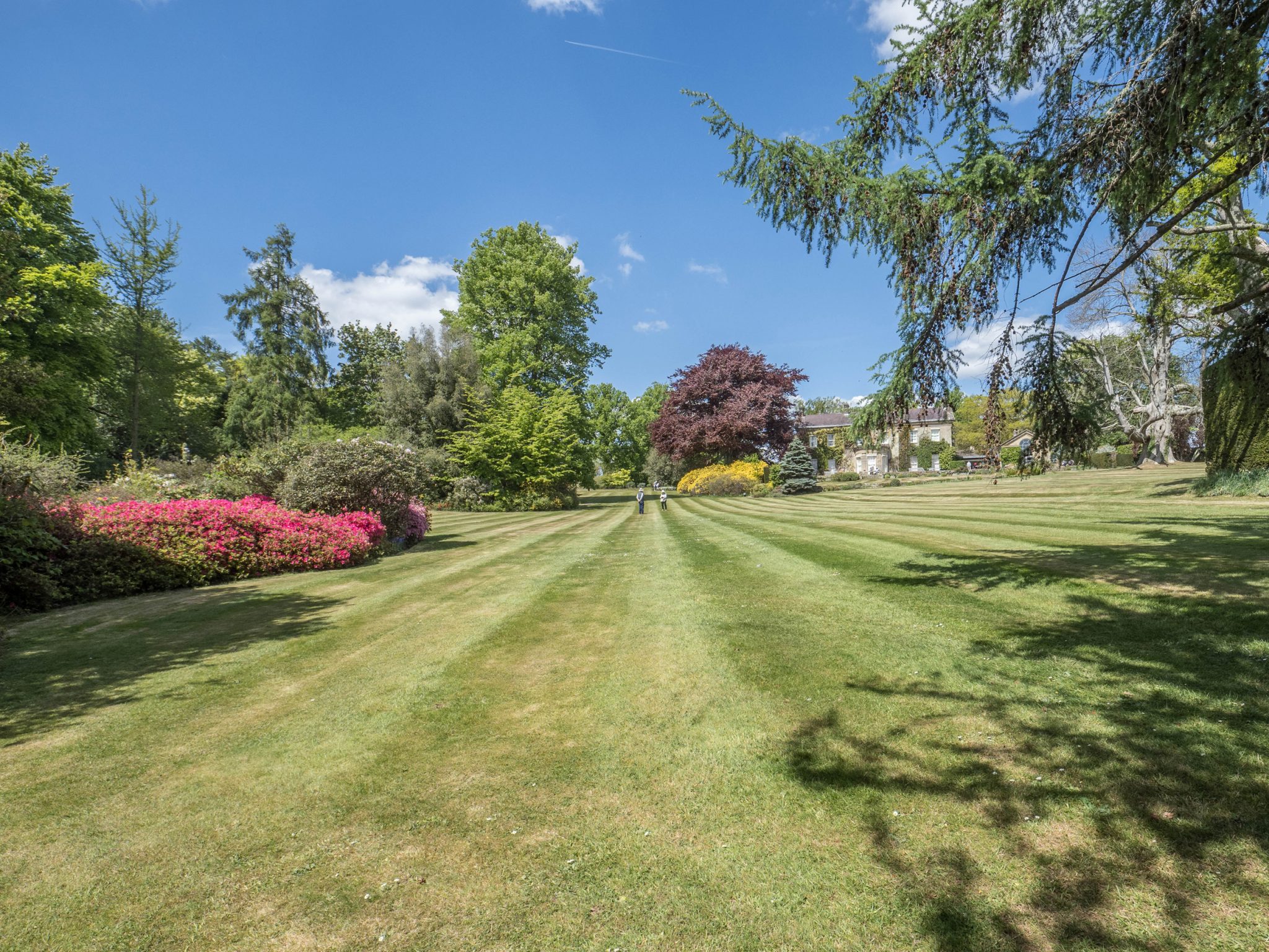 The National Garden Scheme: Visit the garden at Hammerwood House and ...