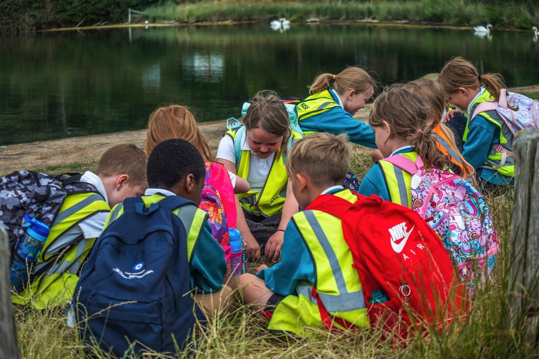 Discover the South Downs - South Downs National Park Authority