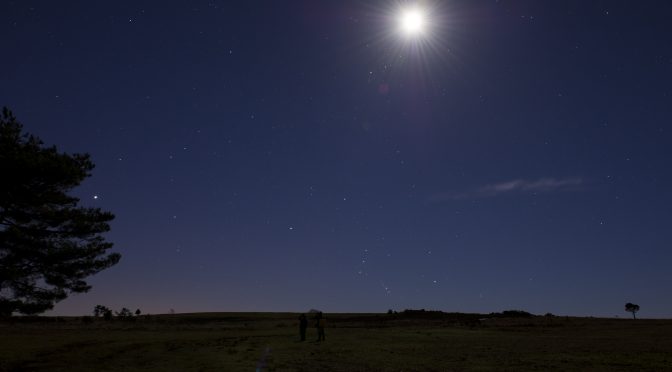 Dark Skies Walk