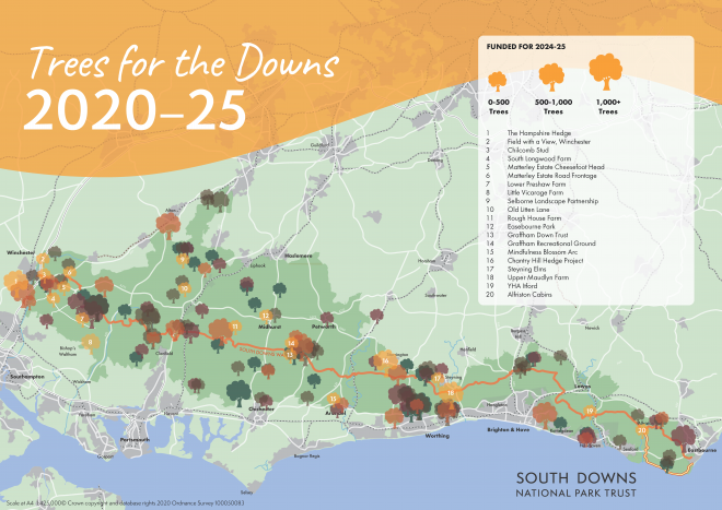 Map showing the sites where trees will be planted in the winter of 2024/25 in the South Downs National Park as part of the Trees for the Downs initiative