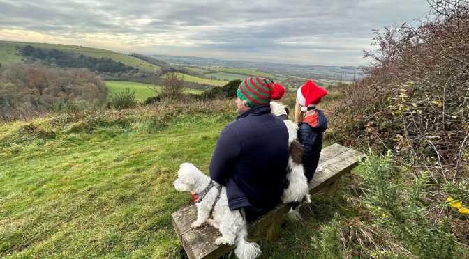 Best South Downs Christmas walks with a view